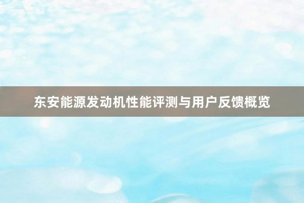 东安能源发动机性能评测与用户反馈概览